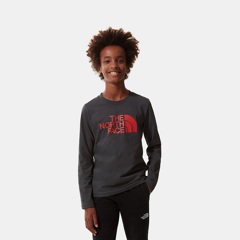 The North Face Long Sleeve Girls Australia - The North Face Easy Long-Sleeve Grey / Red (JNC-436078)